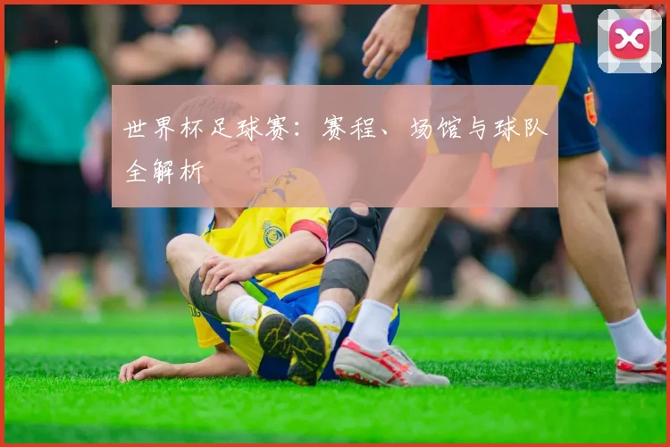世界杯足球赛：赛程、场馆与球队全解析